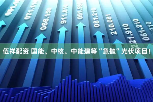 伍祥配资 国能、中核、中能建等“急抛”光伏项目！