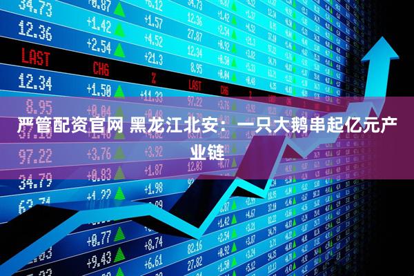 严管配资官网 黑龙江北安：一只大鹅串起亿元产业链